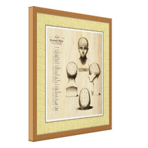 Antique Phrenology Fine Art Canvas Stretched Canvas Prints