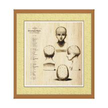 Antique Phrenology Fine Art Canvas Stretched Canvas Print
