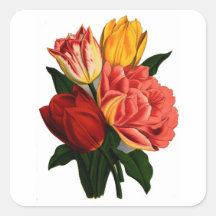 Antique Print Colourful Tulips Sticker
