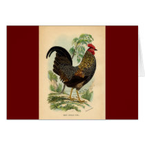 Antique Print Vintage Rooster Cockerel Greeting Card