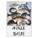 ANTIQUE ROMAN MOSAICS, FISHES,OCEAN SEA LIFE SCENE GREETING CARD