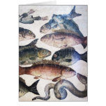 ANTIQUE ROMAN MOSAICS, FISHES,OCEAN SEA LIFE SCENE CARD