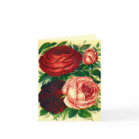 Antique Rose Heirloom Roses Valentine's Day Card