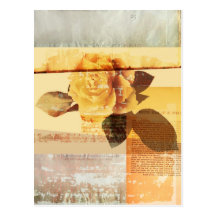 Antique Rose Post Card