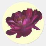 Antique Rose Stickers