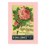 ANTIQUE ROSES Gift Tags Sweetest & Valentine's Day Business Card Templates