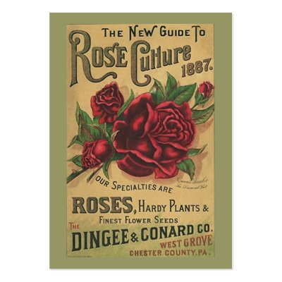ANTIQUE ROSES Gift Tags Sweetest & Valentine's Day Business Card by layooper