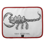 Antique Scorpion Drawing Planners