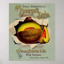 Antique Seed Catalogue Print