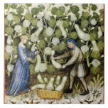 ANTIQUE SQUASH HARVEST CERAMIC TILE