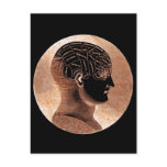 Antique Style Golden Mind Phrenology head Post Card