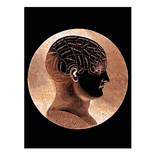Antique Style Golden Mind Phrenology head Post Card