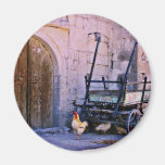 Antique Wagon, Goreme, Cappadocia Refrigerator Magnet