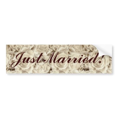 Antique White Roses, Ice Green Satin, template Bumper Stickers by JayneLogan