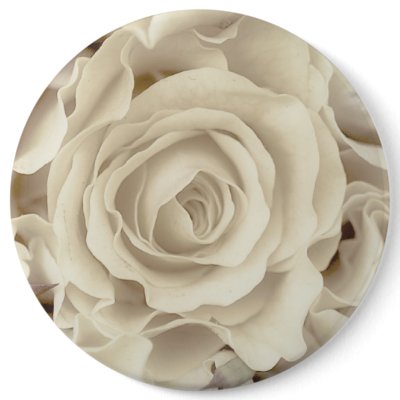 Antique White Roses, Ice Green Satin, template Pinback Buttons by JayneLogan