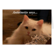 Antoinette says... cards