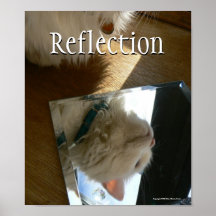 Antoinette's Reflection Posters