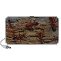 Antz N' Wood "Infested" Speakers speakers