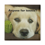 Anyone for tennis, golden retriever. refrigerator magnet