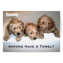 Anyone Have A Towel? Card