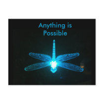 Anything is Possible Postcards