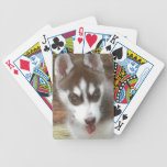 AO- Siberian Husky Puppy Playing Cards