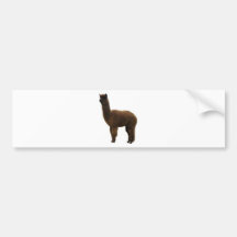 Apaca stud bumper stickers