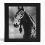 Apache horses 3 ring binders