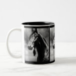 Apache horses coffee mugs