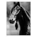 Apache horses greeting cards