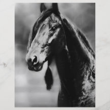 Apache horses personalized flyer