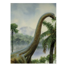 Apatosaurus (brontosaure) mangeant l'illustration cartes postales