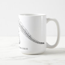 apatosaurus skeleton coffee mug
