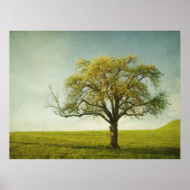 Apfelbaum Posters