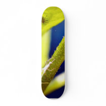 Aphids Skate Board Decks
