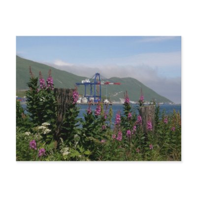 APL Crane in Dutch Harbour, Alaska by mistlebee