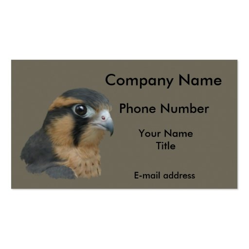 Aplomado Business Card