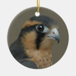 Aplomado Christmas Tree Ornaments