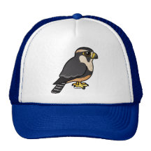 Aplomado Falcon Trucker Hat