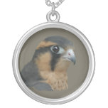Aplomado Pendant