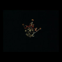 Apollo 14 Lunar Module posters