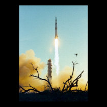 Apollo 8 Launch posters