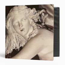 Apollo and Daphne, detail of Daphne's head Binder