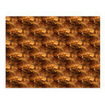 APOPHYSIS pattern ARTs 2 Postcard