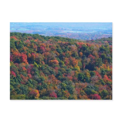 Appalachian Mountains in Fall Postcard by mlewallpapers