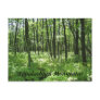 Appalachian Mountains Post Cards