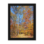 Appalachian Trail Autumn, Fall Scenery Postcard