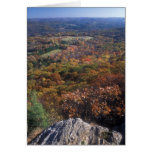 Appalachian Trail Foliage Lions Head Connecticut Greeting Card