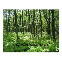 Appalachian Trail Postcard