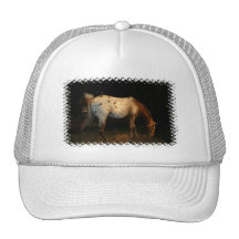 Appaloosa Baseball Hat